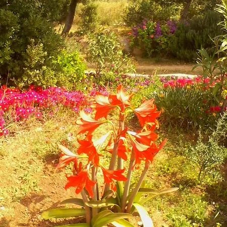 Farm Gli Oleandri Bauernhof Loiri Porto San Paolo