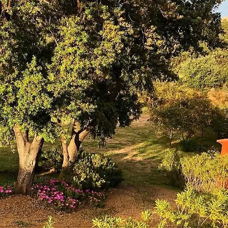 Farm Gli Oleandri *