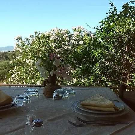 Farm Gli Oleandri * Loiri Porto San Paolo