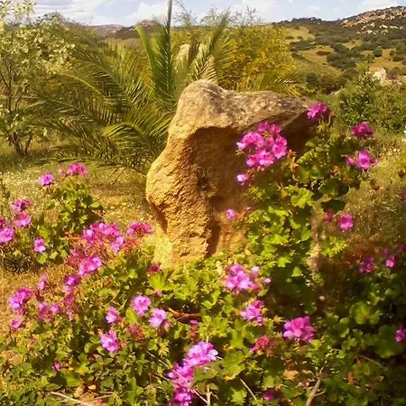 Farm Gli Oleandri * Loiri Porto San Paolo