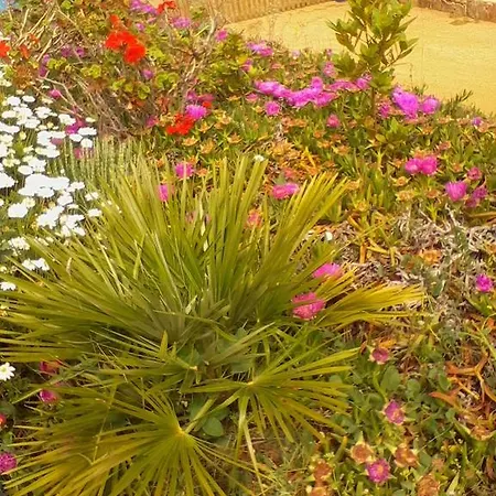 Farm Gli Oleandri Κατάλυμα σε φάρμα