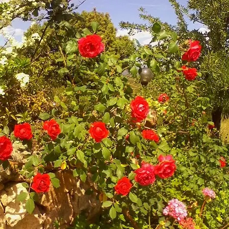 Farm Gli Oleandri Κατάλυμα σε φάρμα *