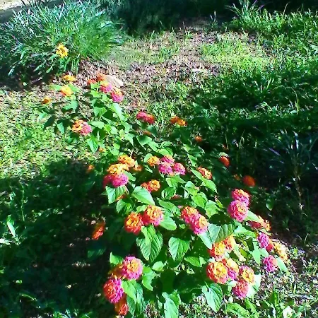 Κατάλυμα σε φάρμα Farm Gli Oleandri Loiri Porto San Paolo