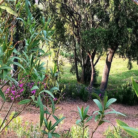 Farm Gli Oleandri Loiri Porto San Paolo