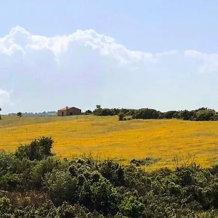 Κατάλυμα σε φάρμα Farm Gli Oleandri *